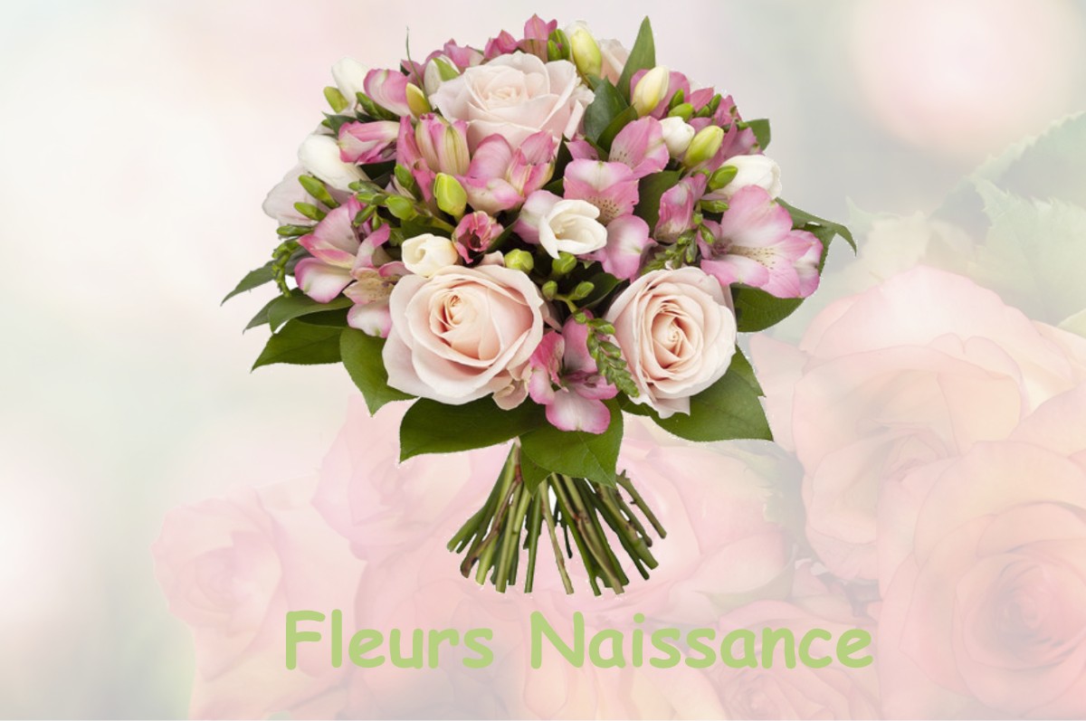 fleurs naissance EYZIN-PINET