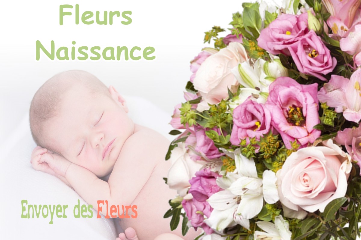 lIVRAISON FLEURS NAISSANCE à EYZIN-PINET